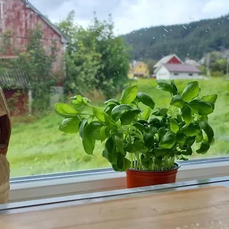 Haus Soltun-was Will Man Mehr! * Runde