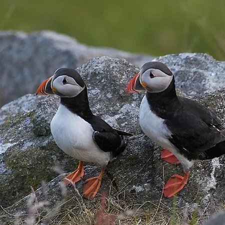 Haus Soltun-was Will Man Mehr! Дом отдыха Runde