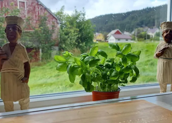 Haus Soltun-was Will Man Mehr! * Runde