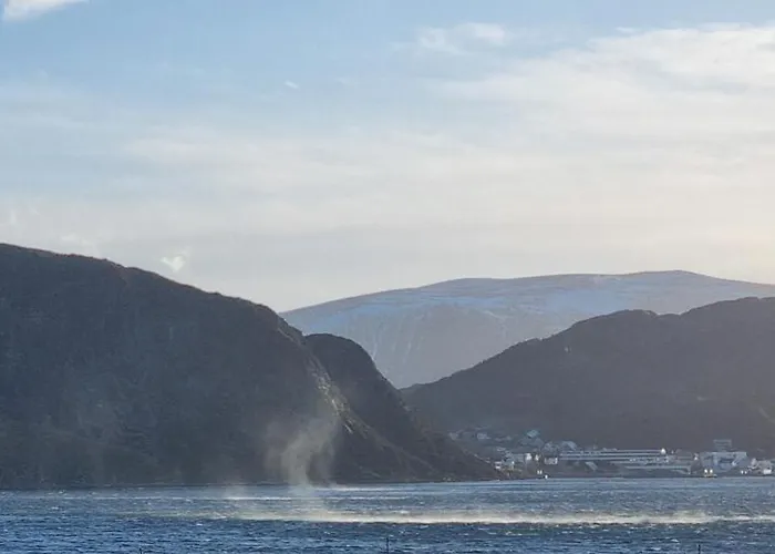 Haus Soltun-was Will Man Mehr! Сasa de vacaciones *