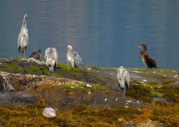 Сasa de vacaciones Haus Soltun-was Will Man Mehr! *