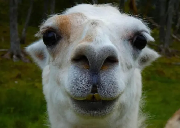 Haus Soltun-was Will Man Mehr! Runde