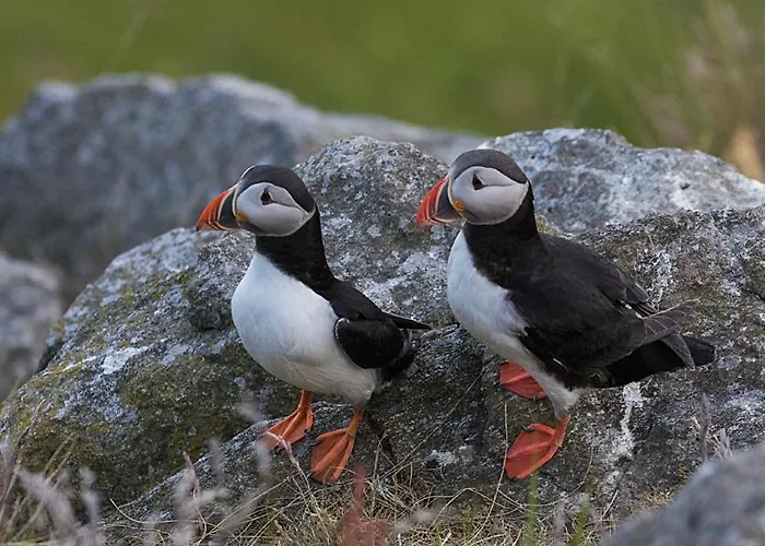 Haus Soltun-was Will Man Mehr! Σπίτι διακοπών Runde