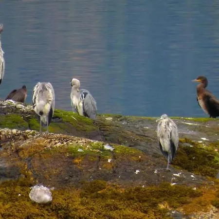 Vakantiehuis Haus Soltun-was Will Man Mehr! *