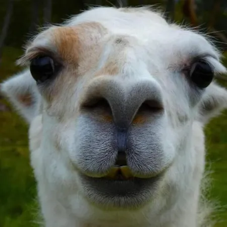 Haus Soltun-was Will Man Mehr! Runde